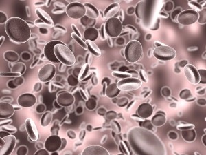 blood cells