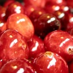 Du cranberry pour les troubles urinaires