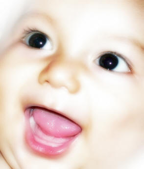 Huile premières dents - Huile gingivale - Apaise les gencives de bébé