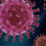 Papillomavirus, infection à HPV