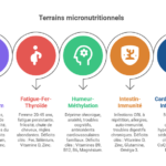 Micronutrition : guide pratique par terrains et plan de supplémentation