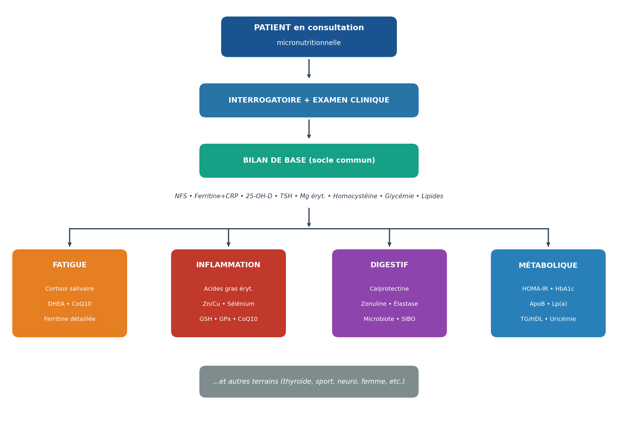 Arbre décisionnel de la prescription micronutritionnelle : du patient en consultation au bilan ciblé selon le terrain