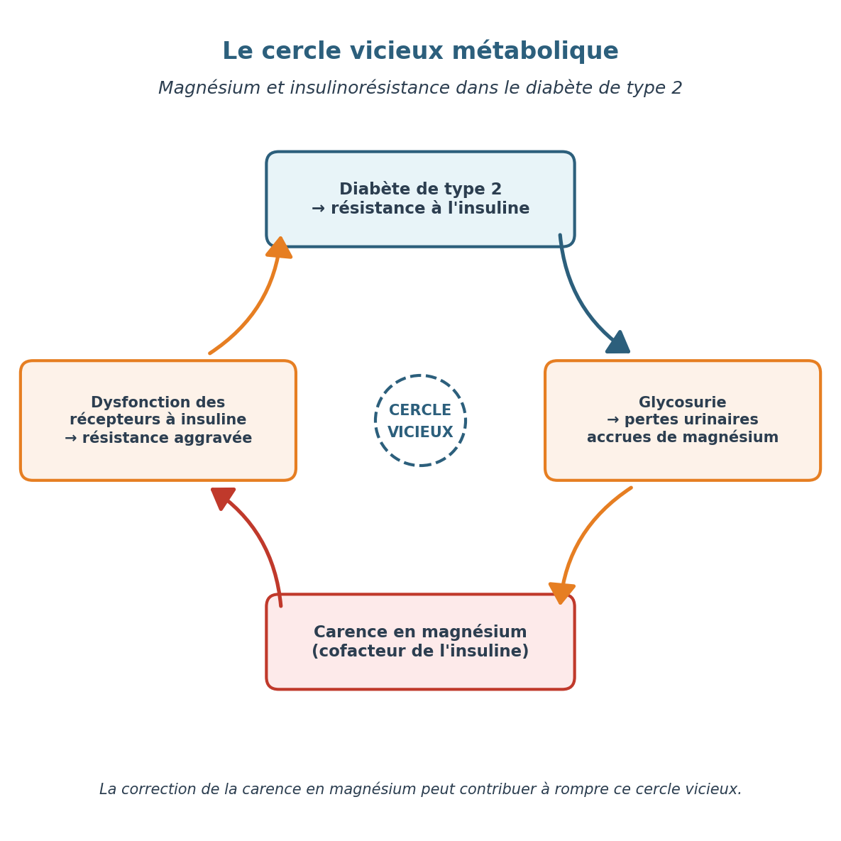 Schéma du cercle vicieux entre carence en magnésium et insulinorésistance dans le diabète de type 2